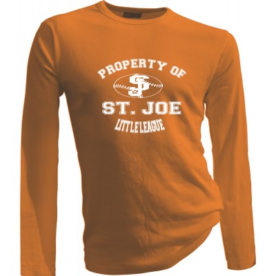 Property of St Joe